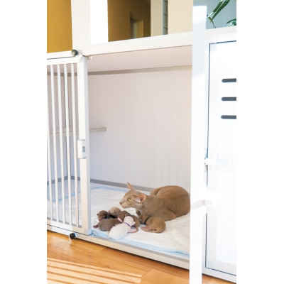 Module pension chat - 154 x p.70 x h.70 cm