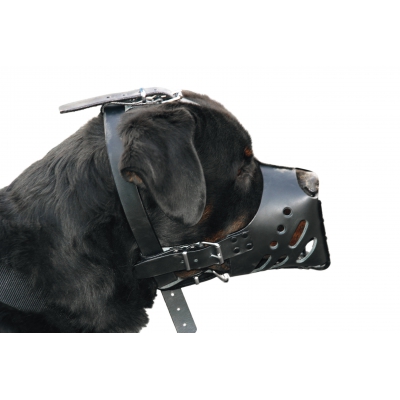 Muselière pour chien - Noir - spécial Amstaff et Rottweiler