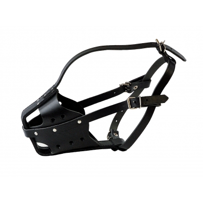 Muselière rottweiler femelle