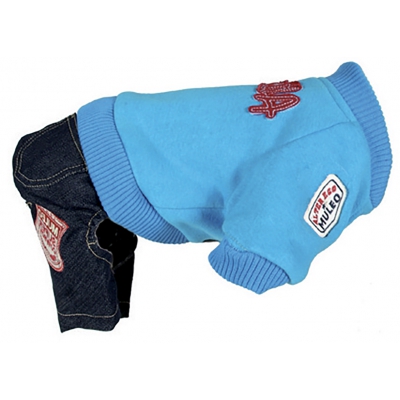 Pull + pantalon pour chien - Sweater US  bleu