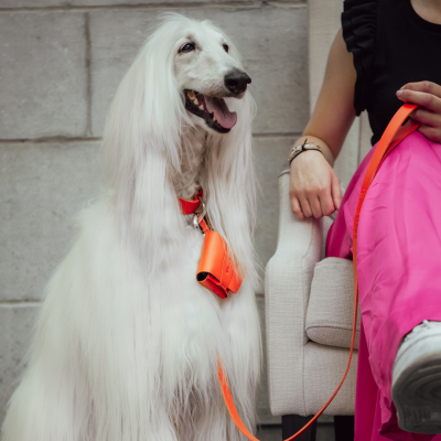 Sac en cuir - Poopidoo - Orange 2
