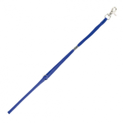 Sangle pour table de toilettage - bleu