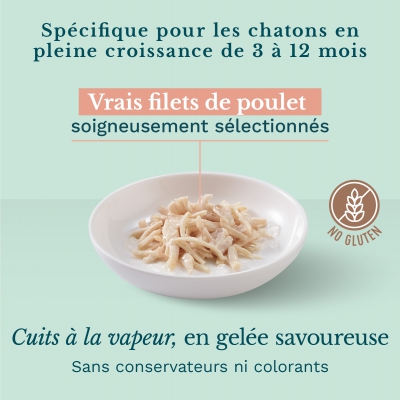 Schésir 6x85g Poulet Chaton en gelée-1