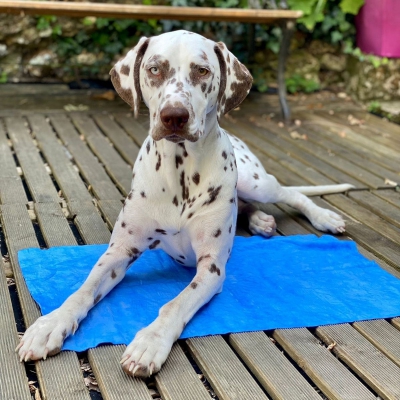 Serviette Ultra Absorbante Héry - 40 x 60 cm2