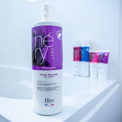 Shampooing pour Chien - Tous Pelages - Héry ambiance