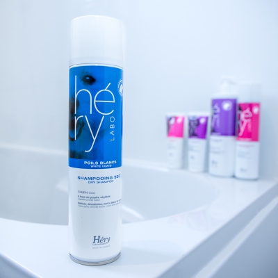 Shampooing Sec pour Chien - Poils Blancs - Héry ambiance