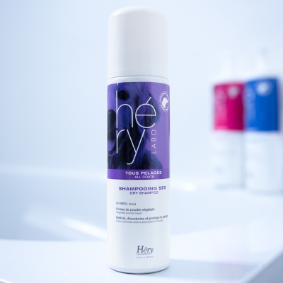 Shampooing Sec pour Chien - Tous Pelages - Héry ambiance