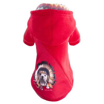 Sweet pour chien - Téo Jasmin Apache