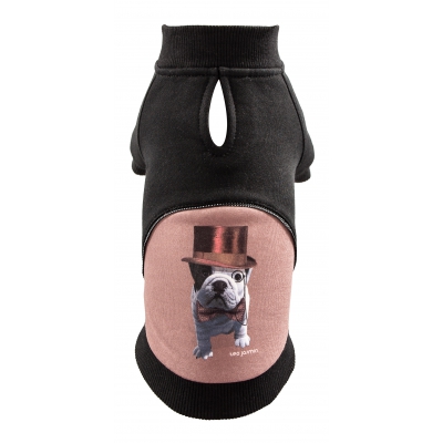 Sweet pour chien - Téo Jasmin Dandy