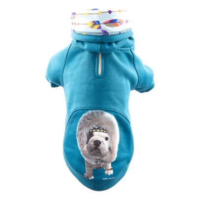 Sweet pour chien - Téo Jasmin Inuit