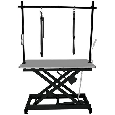 Table électrique Vivog - châssis hyper stable croisé - plateau bois - TA200G - gris