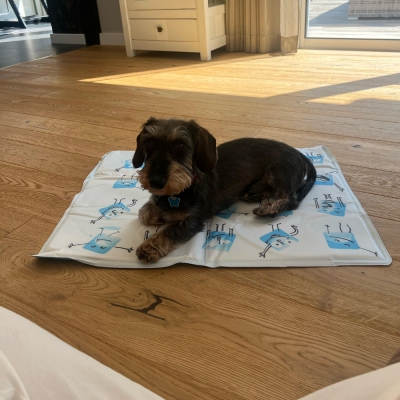 Tapis rafraichissant pour chien REFRESH 65