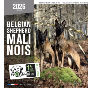 Calendrier chien 2026 - Berger Belge Malinois - Martin