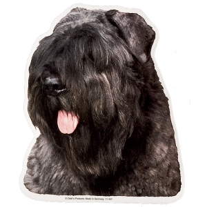Autocollant Bouvier des Flandres - 15cm