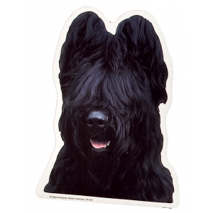 Autocollant Briard - 15cm