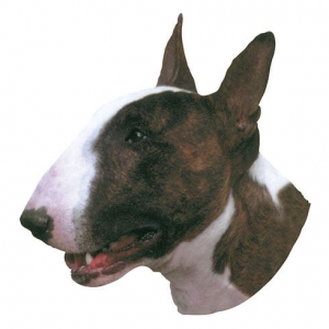 Autocollant Bull Terrier - 15cm