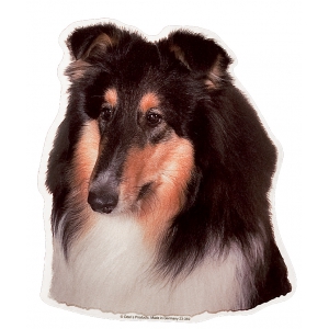 Autocollant Colley - 15cm