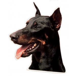 Autocollant Doberman - 15cm