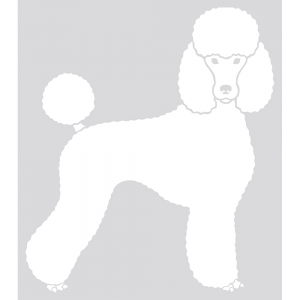 Autocollant Sticker corps de chien Caniche - coupe moderne - tête de face