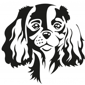 Autocollant Sticker tête de chien Cavalier King Charles