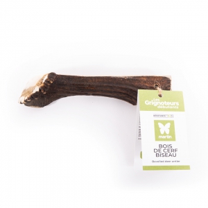 Bois de cerf en biseau pour chien
