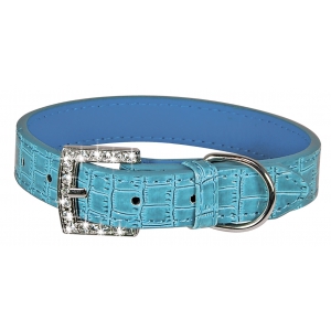 Collier Celeste pour chien - Bleu