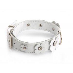 White leather collar for dog - Clover leather right