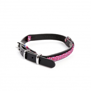 Collier cuir & nylon "Colorado" pour chien - Rose