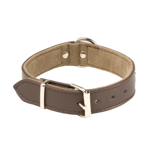 Collier cuir pour chien - Sportswear 