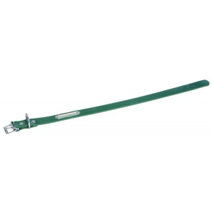 Identification Collar Green leather dog - Coupe Franc