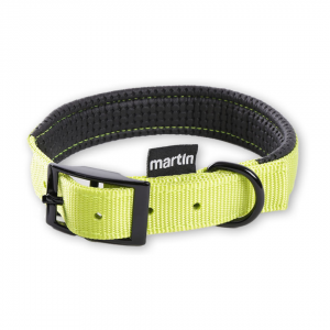 Right collar comfort for dog green nylon