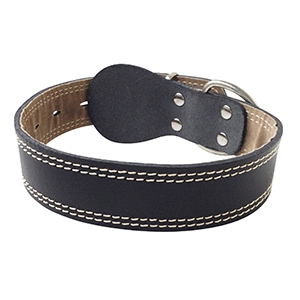 Collier en cuir noir pour chien
