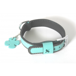 Dog collar - Bowxy