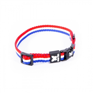 Collier Tricolore pour chien