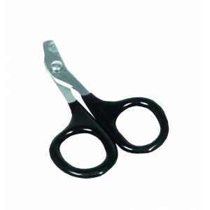 Cutting claws for cat