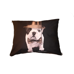 Coussin pour chien et chat - Téo Dandy pour chien