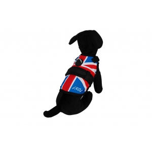 Dog harness - Avant-garde British