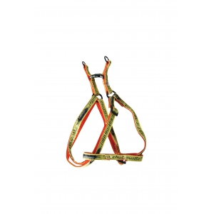 Step in harness for cat - Rigolos - Ca chat-ouille