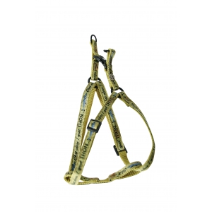 Step in harness for cat - Rigolos - Chat alors ! Quel Thon…