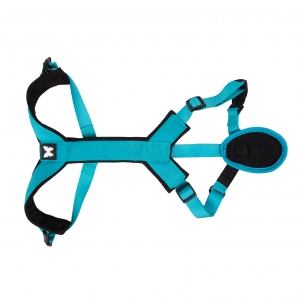 Harnais Canicross Basic - Bleu