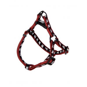 Harnais "Galon noir"