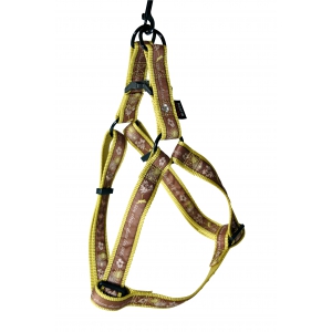 Yellow dog harness - un chien dans les prés