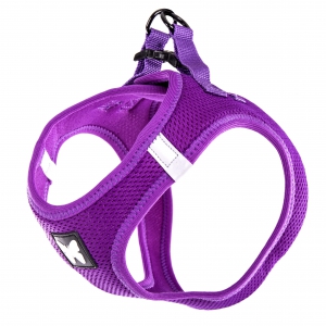 Purple Mesh Harness