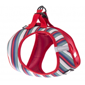 Red Stripe Mesh Harness