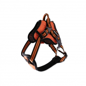 Dog harness - Martin