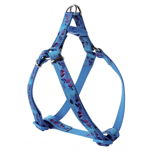Harnais nylon cerises bleu