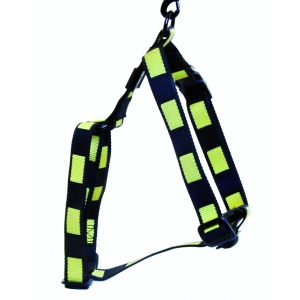 Matrix Yellow Nylon Harness