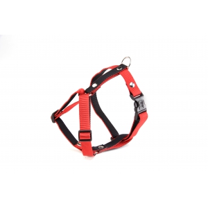 Red & black nylon harness