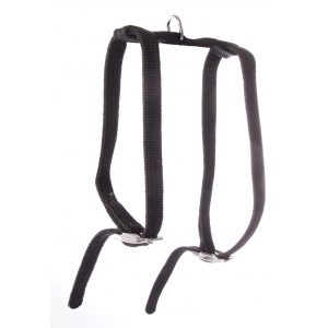 Cat harness - black