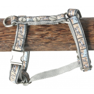 Dog harness - Oliver blue